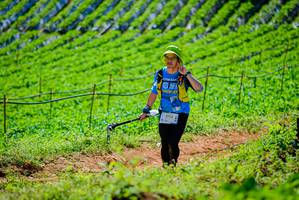 BIB: 1732, 
                            <button type="button" onclick="openModal(19163554)" class="btn btn-primary btn-sm float-right btn-popup" data-toggle="modal" data-target=".modal-high-quality">
                        <i class="fas fa-shopping-cart"></i> Add to Cart
                    </button>
                                            <button type="button" onclick="isThisMe(19163554, true)" class="btn btn-success btn-sm float-right btn-popup btn-isme hidden" data-toggle="tooltip" data-placement="bottom" title="นี่คือรูปของคุณใช่ไหม คลิกที่นี่เพื่อเอาเข้าอัลบั้ม">
                        <i class="fas fa-plus"></i> Add to album
                    </button>
                    <button type="button" onclick="isThisMe(19163554, false)" class="btn btn-warning btn-sm float-right btn-popup btn-isnotme hidden">
                        <i class="fas fa-ban"></i> Remove from album
                    </button>